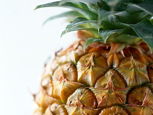 close up photography of pineapple fruit