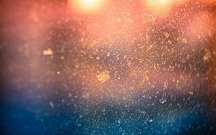 macro, lights, bokeh HD wallpaper