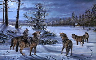 howling wolves standing on ground covered by snow painting, wolf, animals, artwork, winter