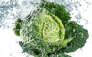 green lettuce HD wallpaper