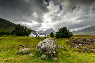 photography gray stone on grassy field beside trees and gray house under cloudy sky during daytime