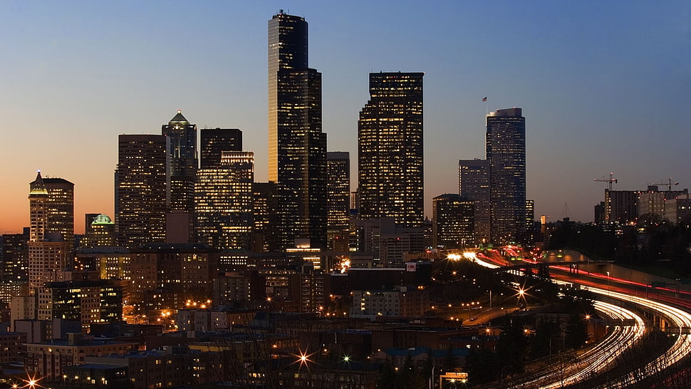 high rise buildings skyline during nighttime HD wallpaper