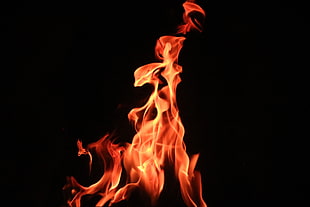 red flame, Fire, Flame, Bonfire