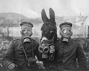 selective focus photography of two man holding horse while wearing gas mask