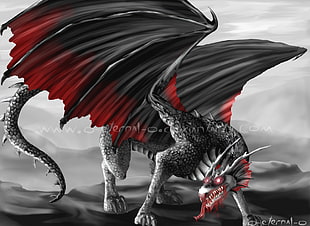 black and red dragon digital wallpaper, dragon, fantasy art, selective coloring