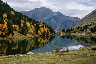 reflection of green and brown trees on body of water overlooking hills at daytime