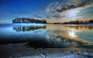 black, brown, and white sea painting HD wallpaper