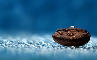 coffee bean with water dew