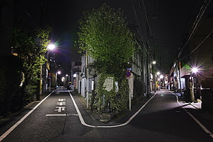green leaf tree, cityscape, photography, Japan, night