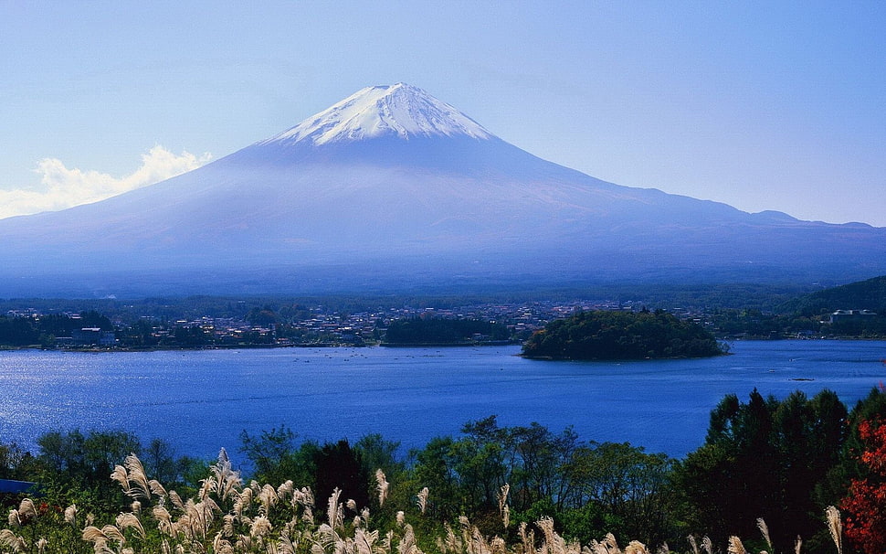 view of Mt.fuji during daytime HD wallpaper