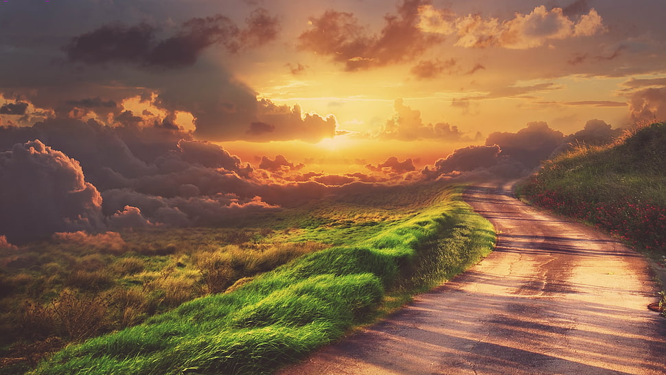 road and grassland during sunset, clouds, grass, road, sunset HD wallpaper