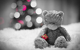 selective focus photography of bear, New Year, snow