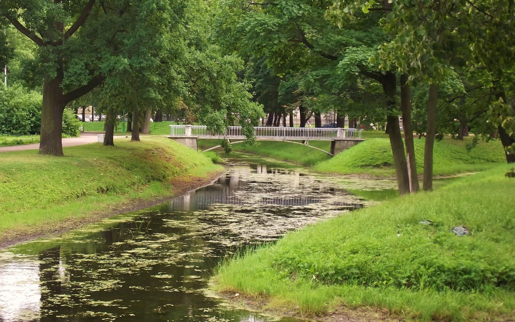 river between green grass