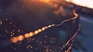 selective focus photography of gray metal chain link fence, fence, sunlight, depth of field