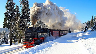 red and black train, train, snow, steam locomotive, vehicle HD wallpaper