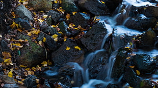 photography of flowing water on stones HD wallpaper