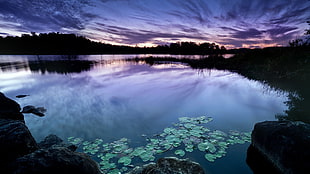 landscape photo of lake, lake, water HD wallpaper