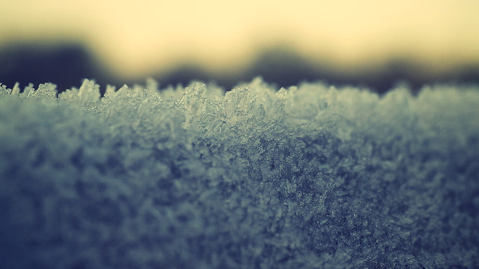 ice, cold, winter HD wallpaper