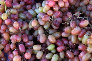 photo of bunch of grape fruits