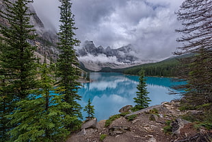 fisheye photography of body of water between trees and mountains during daytime, moraine lake, banff national park, canada