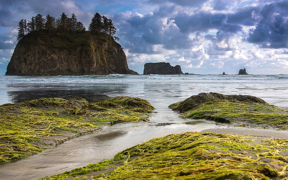 ocean and island painting HD wallpaper