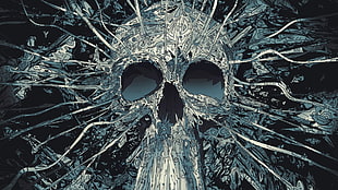 black and white human skull illustration, skull, Matei Apostolescu, monochrome, digital art
