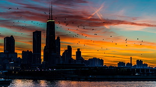 cityscape at night, cityscape, building, sunset, Chicago