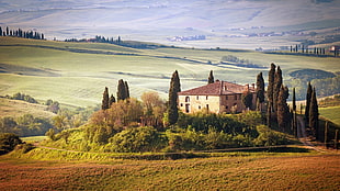 concrete house surrounded by green leafed trees at the top of the hill, Tuscany, Italy, nature, landscape