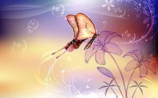 brown Butterfly on purple flower illustration