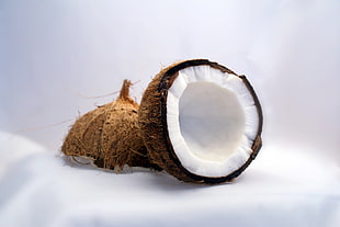 coconut shell HD wallpaper