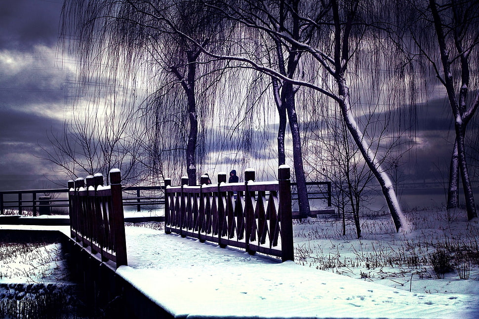 snow-covered bridge, landscape, snow, winter, bridge HD wallpaper