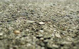 gray pavement, stone
