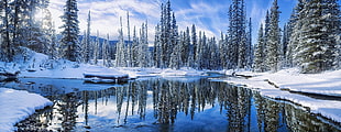 white and black house near body of water painting, winter, snow, reflection, forest