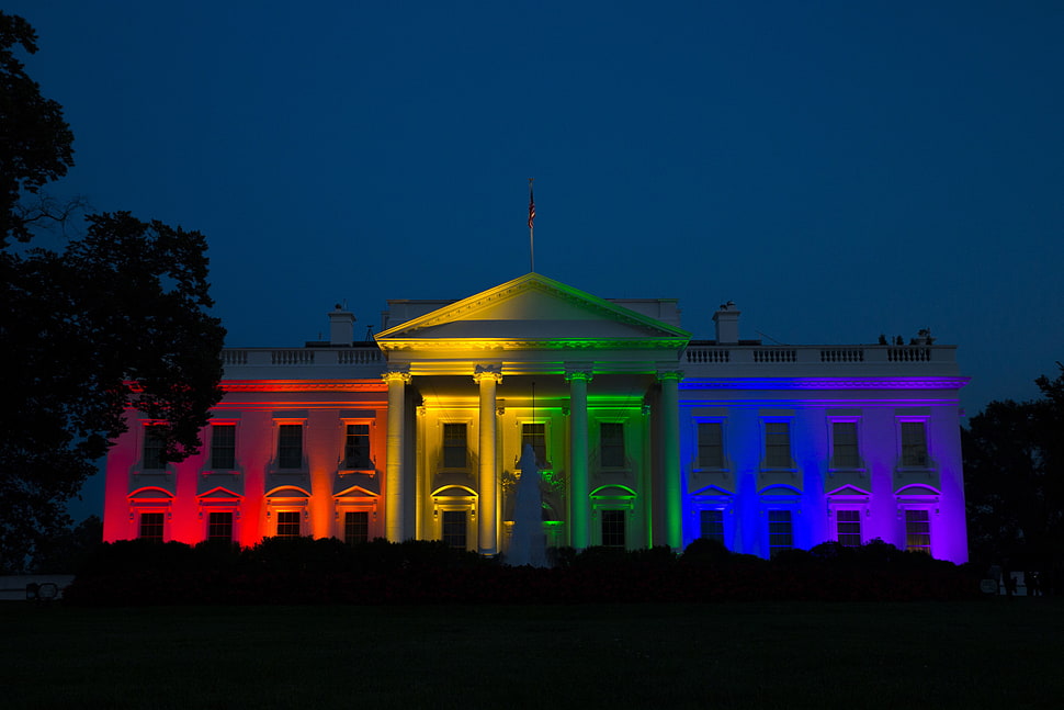 White House, Washington, U.S.A HD wallpaper
