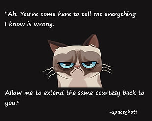 grumpy cat with text overlay