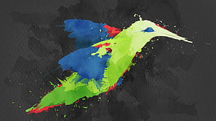 multicolored bird painting, painting, birds, colibri (bird)