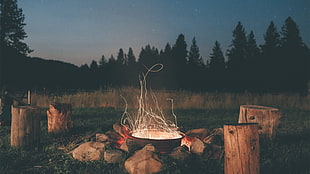 gray steel pot, photography, nature, forest, evening