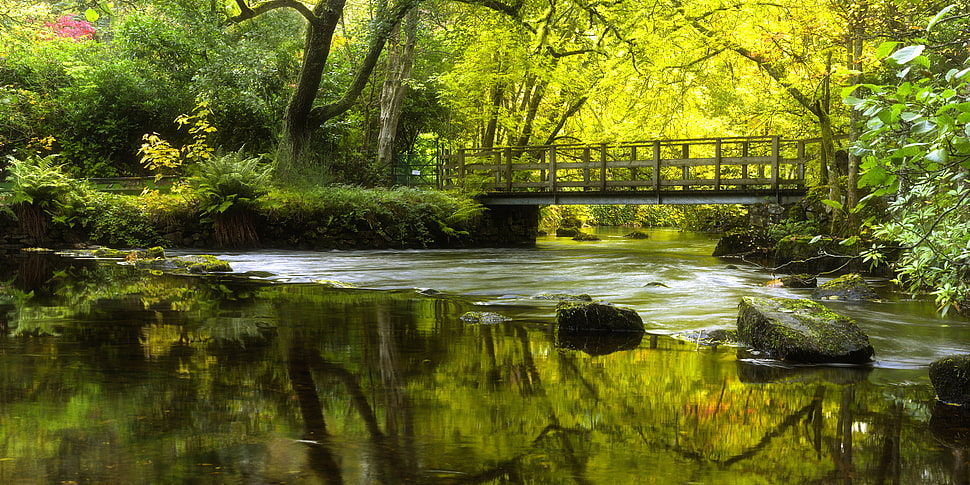 brown bridge on lake during day time HD wallpaper