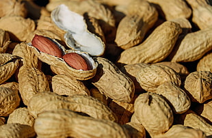 peanut lot