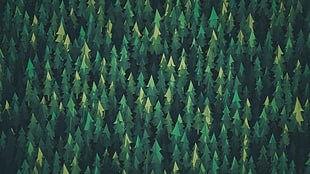 green illustration tree lot