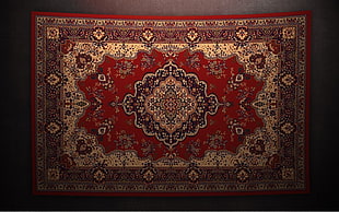 red and brown Persian rug
