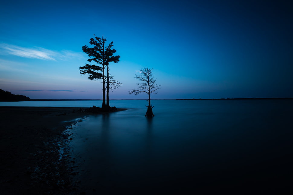 landscape HD wallpaper