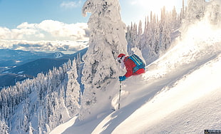 men's red snowsuit, photography, winter, snow, skis
