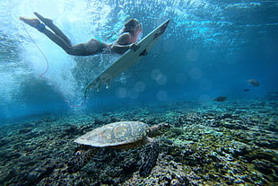 woman in white bikini on underwater