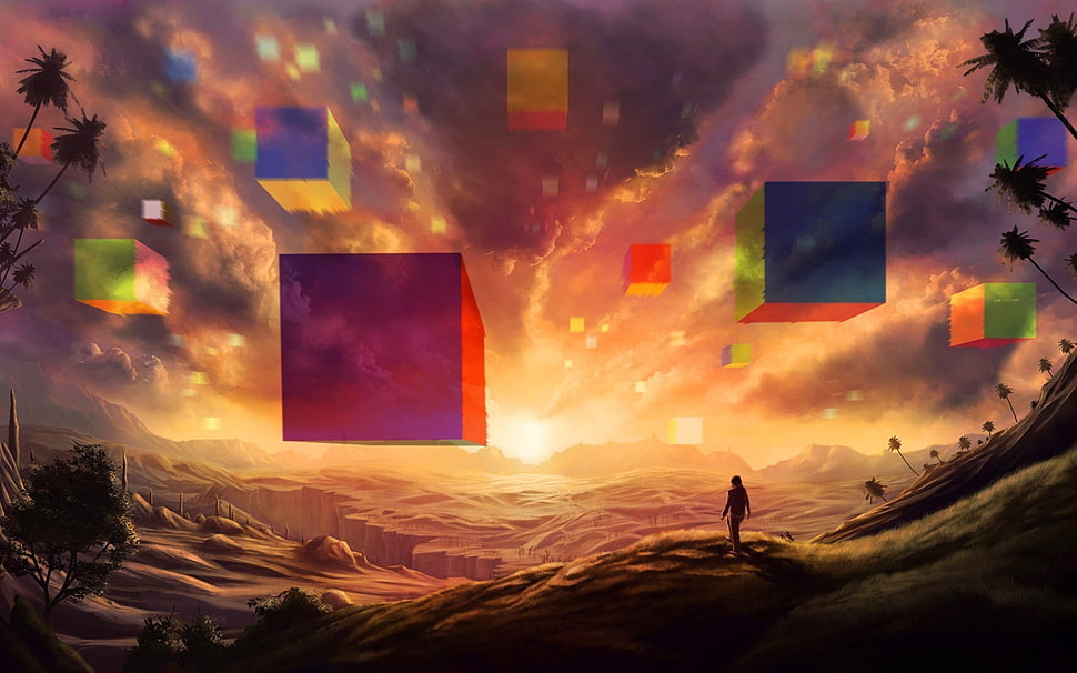 person standing on hill looking at cube filled sky artwork, cube, floating, fantasy art, silhouette HD wallpaper