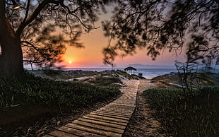 body of water, landscape, nature, island, path