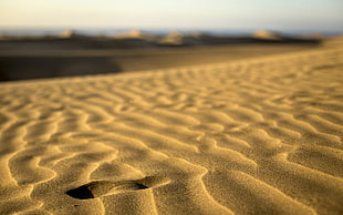 brown sand, landscape