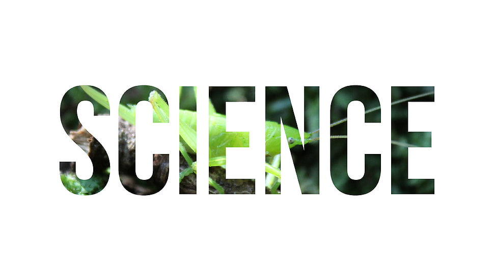 green Science text on white background, science, nature, insect, typography HD wallpaper
