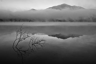 grayscale photo of mountain covered in fog