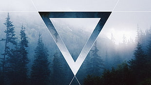 rectangular black and white wooden table, triangle, trees, blue